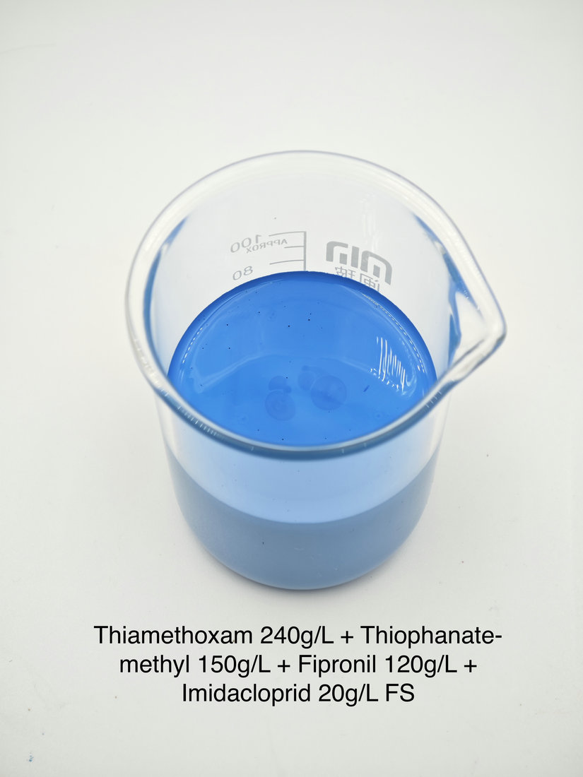 Thiamethoxam 240g/L + Thiophanate-methyl 150g/L + Fipronil 120g/L + Imidacloprid 20g/L FS